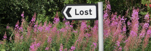 Lost