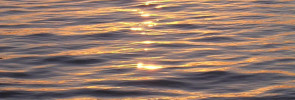 Water at sunset