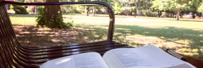 Bible on a park bench