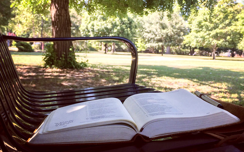 Bible on a park bench