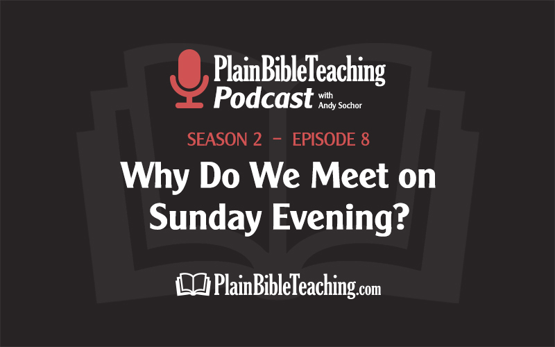 Why Do We Meet on Sunday Evening? (Season 2, Episode 8)