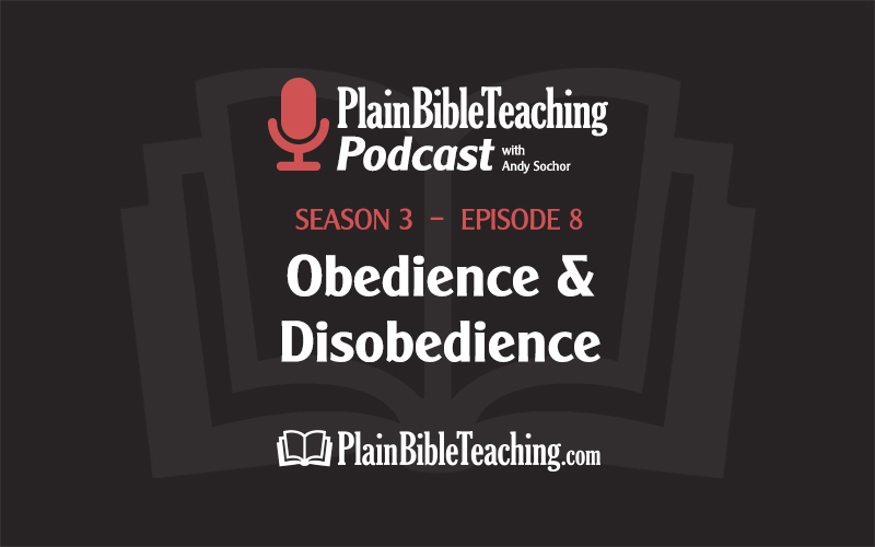 Obedience and Disobedience (Season 3, Episode 8)
