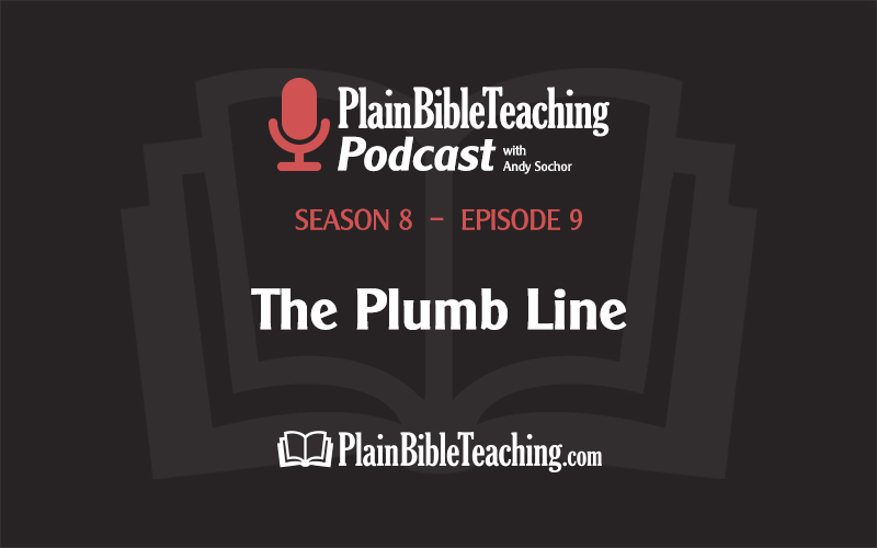 The Plumb Line (Season 8, Episode 9)