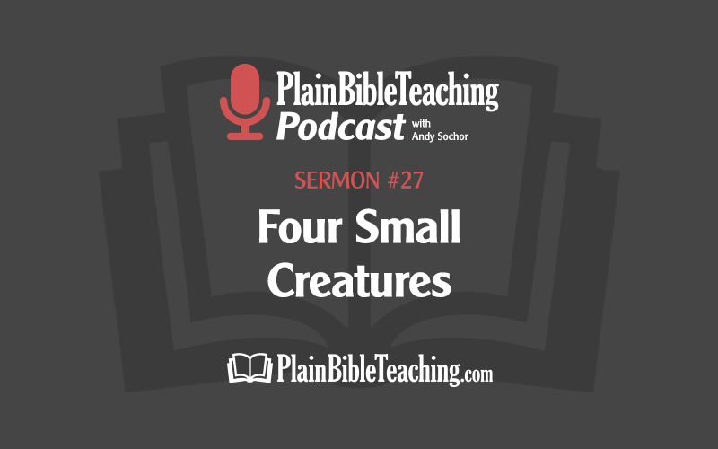 Four Small Creatures (Sermon #27)