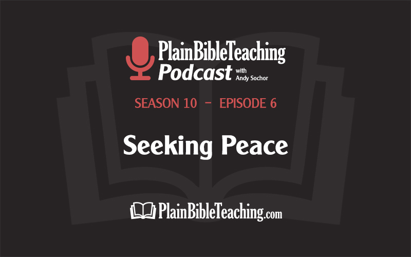 Seeking Peace (Season 10, Episode 6)