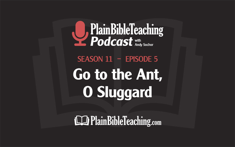Go to the Ant, O Sluggard (Season 11, Episode 5)