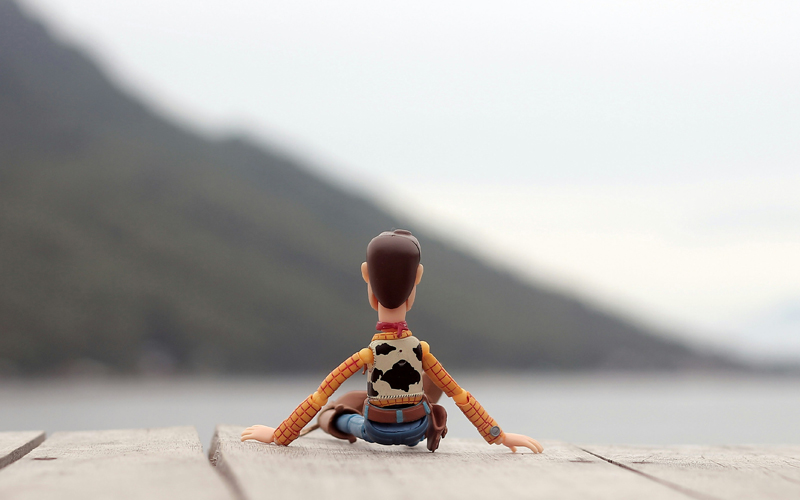 Woody Toy Story doll by lake